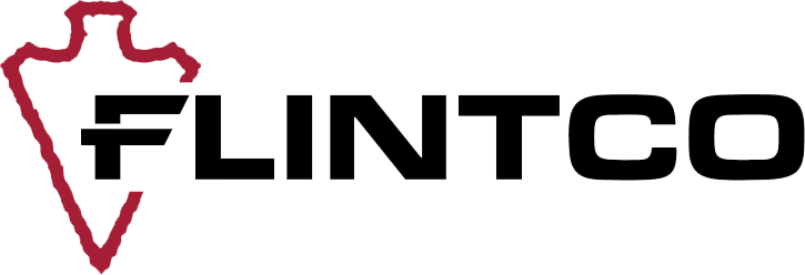 Flinto Co Logo