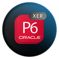 p6-xer-project-file-icon-r