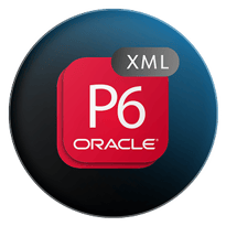 p6-xml-project-file-icon-r