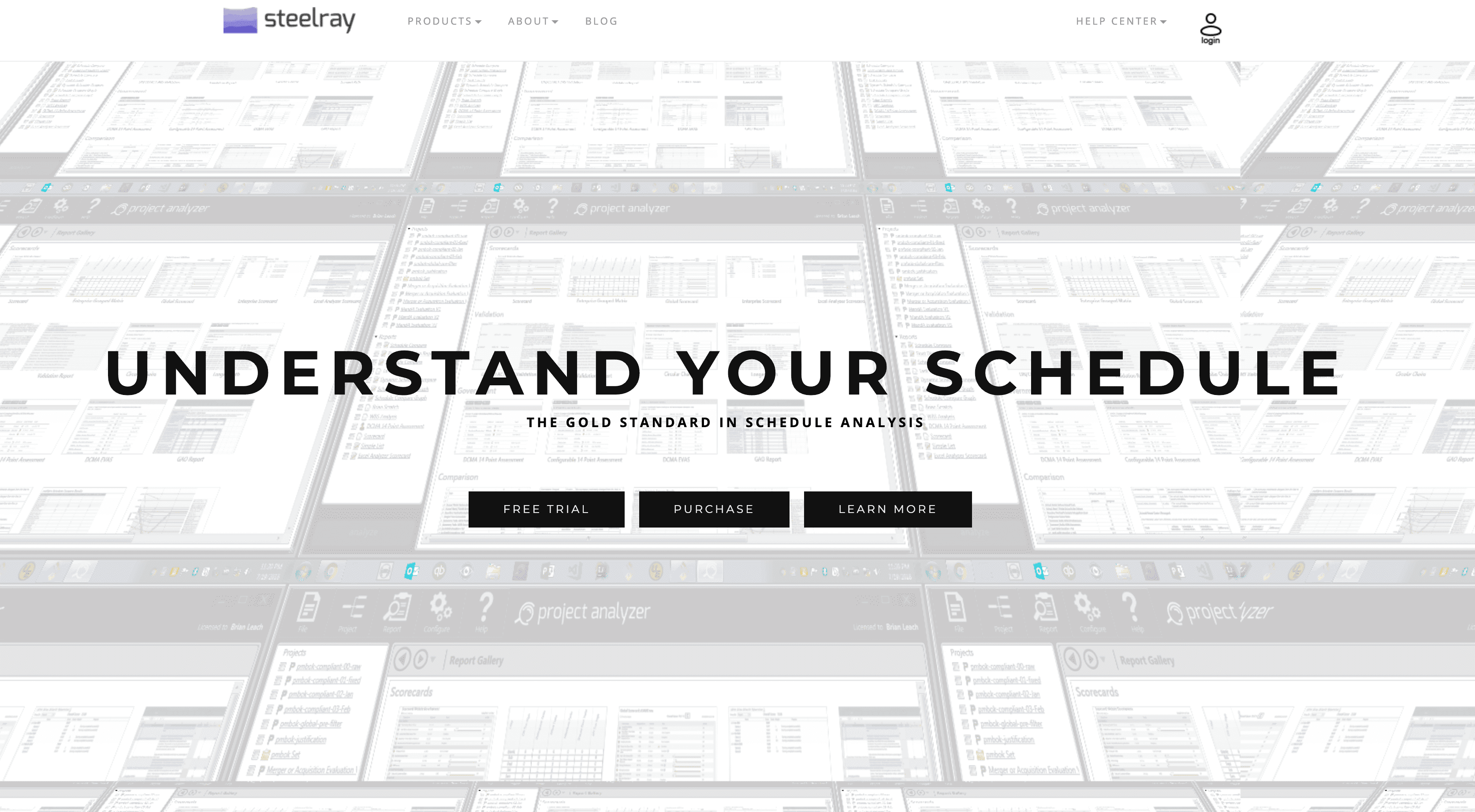Steelray Project Analyzer
