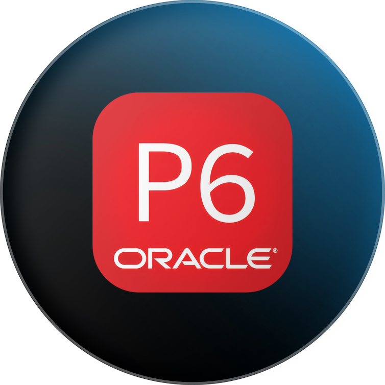 p6-oracle-project-management